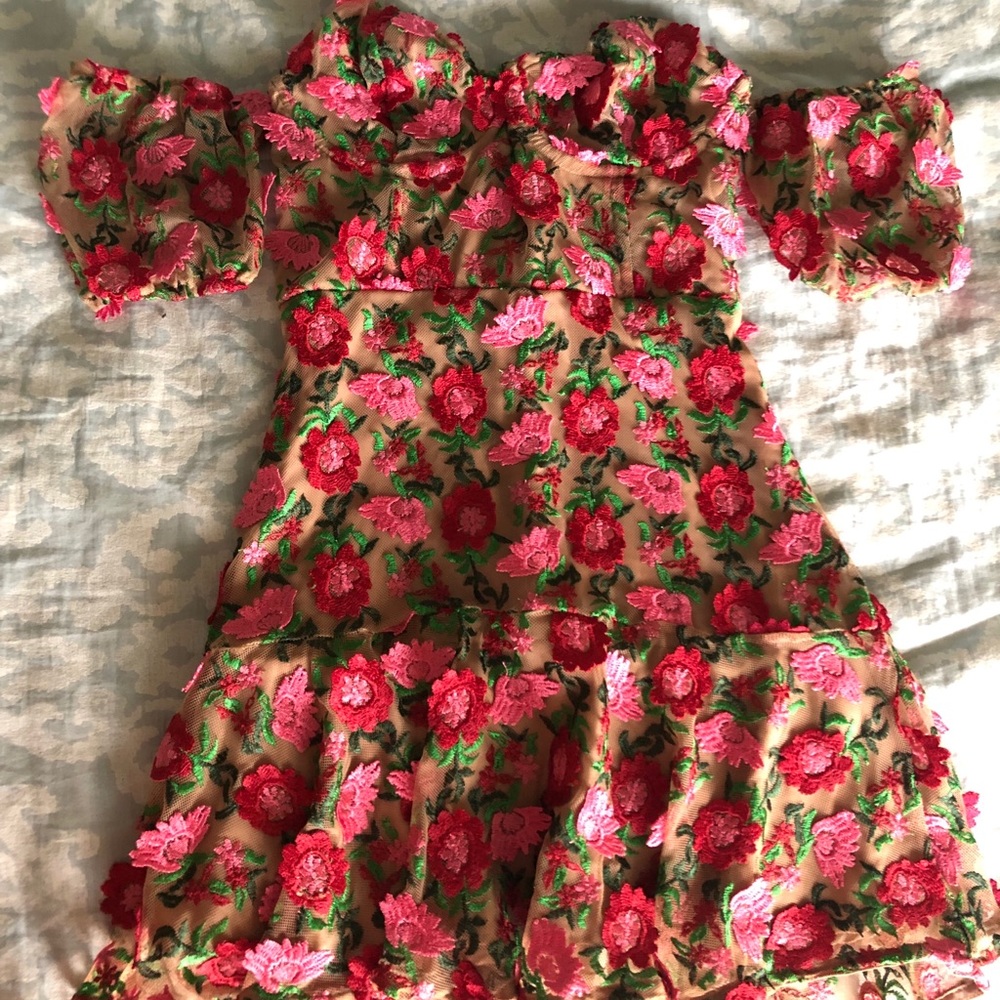 For Love and Lemons Dress